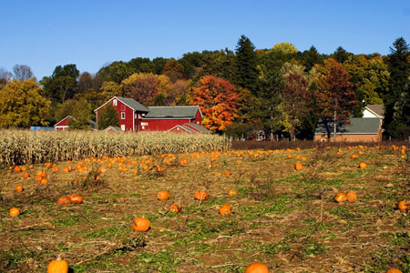 10-30-065-farm.jpg